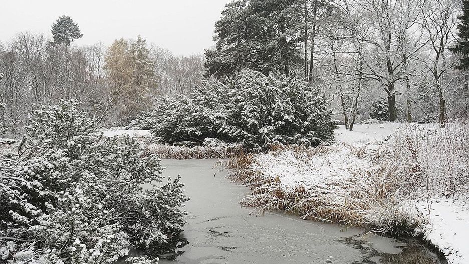 Kiedy jest początek zimy?