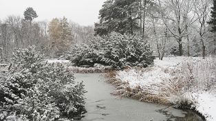 Zima zbliża się wielkimi krokami. Do oficjalnego rozpoczęcia pozostało niewiele czasu!