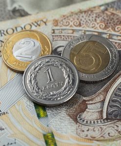 Nowy symbol dla złotego. Petycja trafia do Sejmu