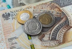 Nowy symbol dla złotego. Petycja trafia do Sejmu