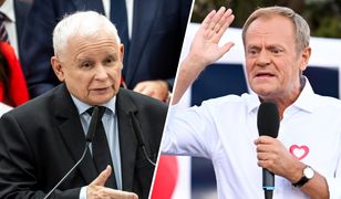 Nowy sondaż. W tym przypadku KO przed PiS