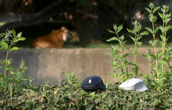 Microsoft niestandardowo promuje się w warszawskim ZOO