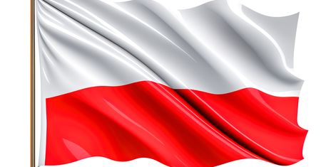 Płock uczci ważne rocznice. Przed nami majowe uroczystości patriotyczne