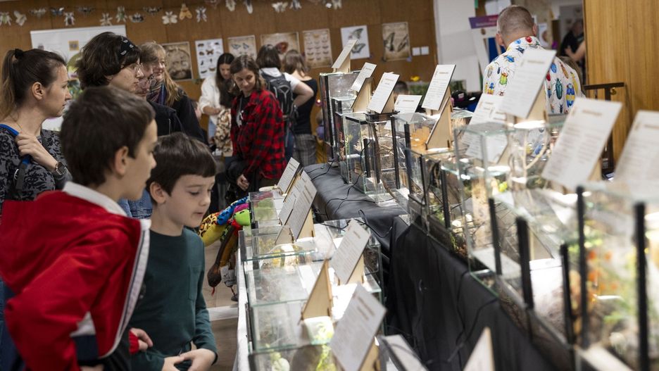 „Świat na sześciu nogach” – pod takim hasłem Uniwersytet Rolniczy im. Hugona Kołłątaja w Krakowie już po raz 23. zorganizował Ogólnopolskie Dni Owada. Trwające trzy dni wydarzenie przyciągnęło tłumy pasjonatów entomologii i całe rodziny. 