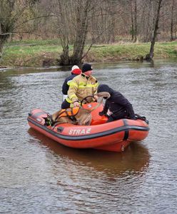 Znaleziono ciało kobiety. To ona próbowała ratować 10-letniego syna