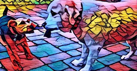 Prisma zmienia zdjęcia w dzieła sztuki - aplikacja na iOS robi furorę [AKT.]
