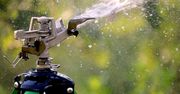 Zadbaj o zdrowie roślin. Automatyczne nawadnianie w 3 krokach