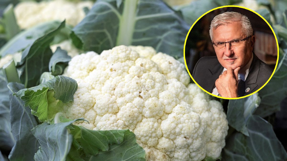 Cena kalafiora oburzyła senatora