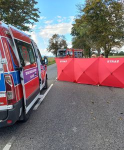 Zatrzymał się na pasie awaryjnym. Śmiertelny wypadek