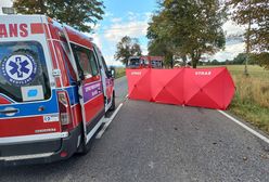 Zatrzymał się na pasie awaryjnym. Śmiertelny wypadek