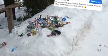 Leśnicy nie mogli uwierzyć. W sieci zawrzało
