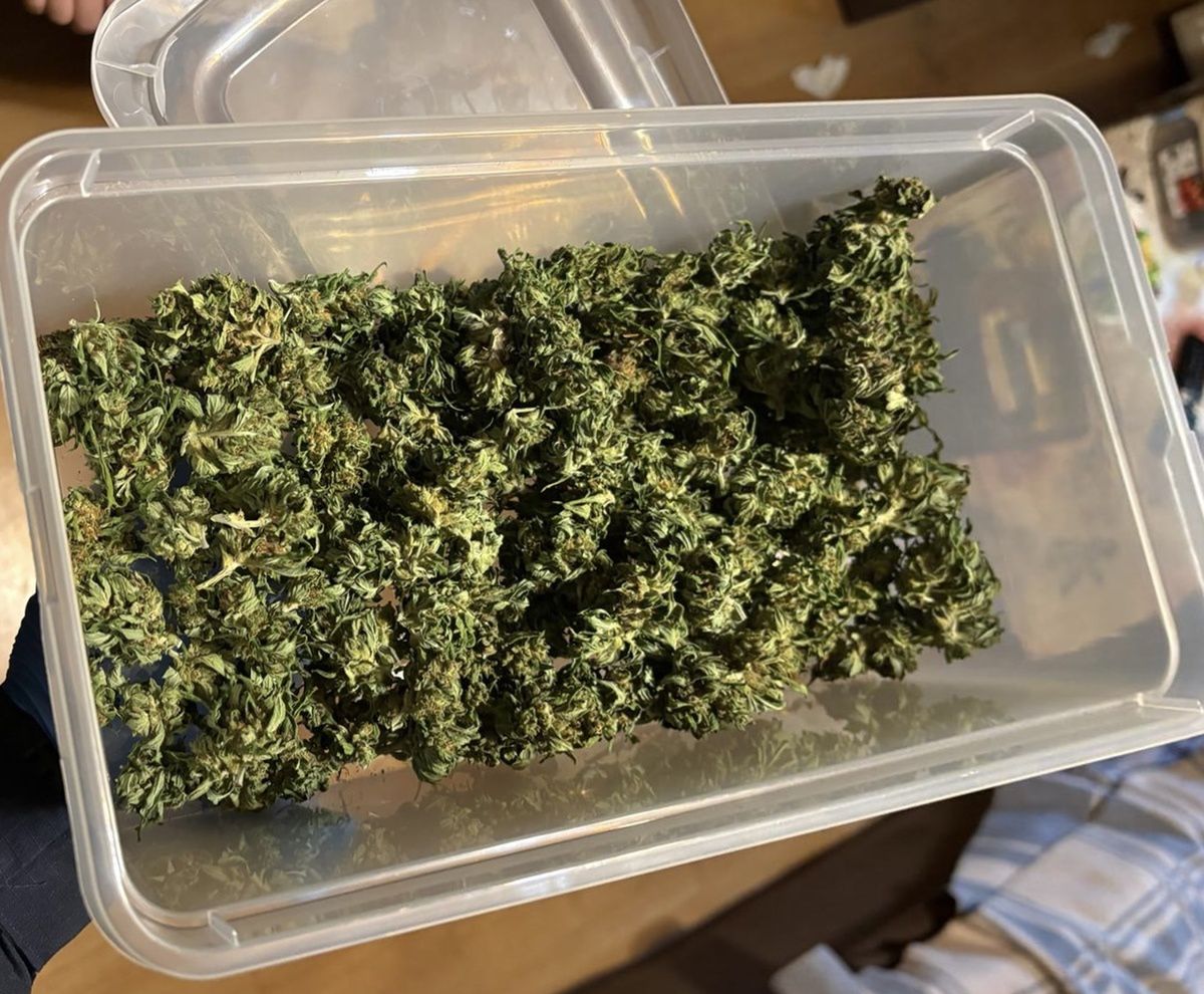 Kędzierzyn-Koźle: Poszukiwany zatrzymany z narkotykami podczas kontroli drogowej