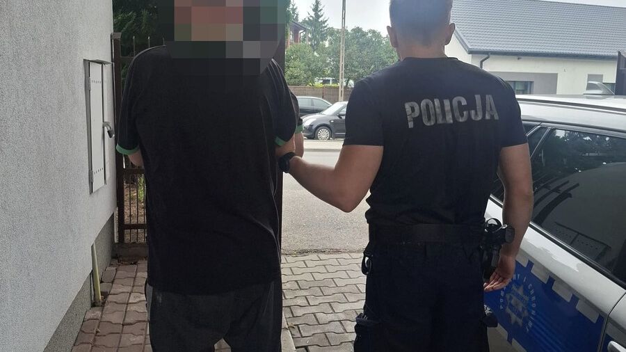 policja