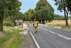 Wypadek pod Płockiem. Na drogę wypadły kury