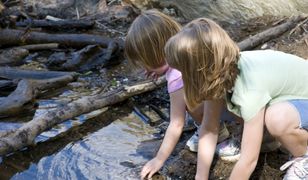 Tym rodzicom odbiorą 500+. Ważna decyzja