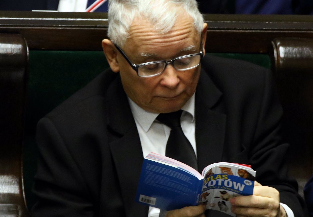 Piątka dla zwierząt. Policyjne uprawnienia dla animalsów. Wejście do domu mimo sprzeciwu właściciela