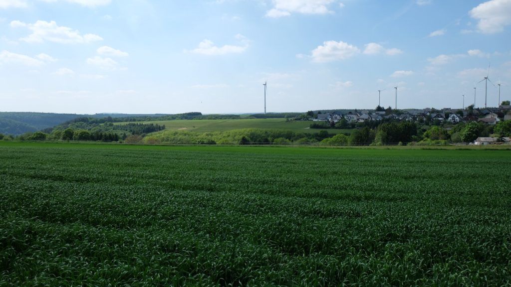 Most Geierlay