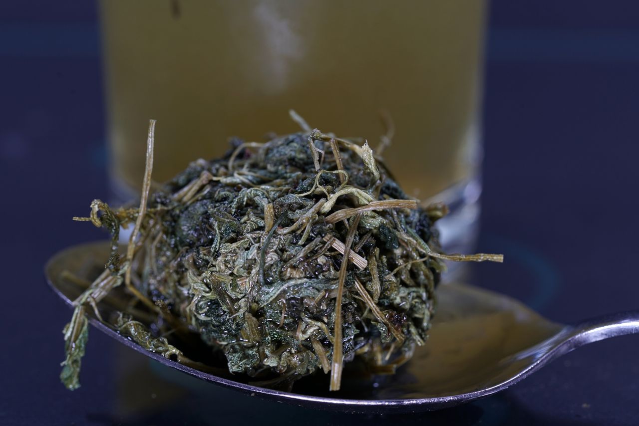 "Zioło długowieczności". Naukowcy zbadali jego działanie