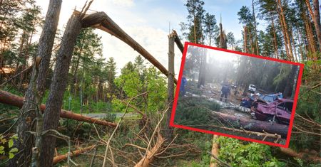 Rosja. Koszmar na kempingu podczas burzy. Troje dzieci nie żyje