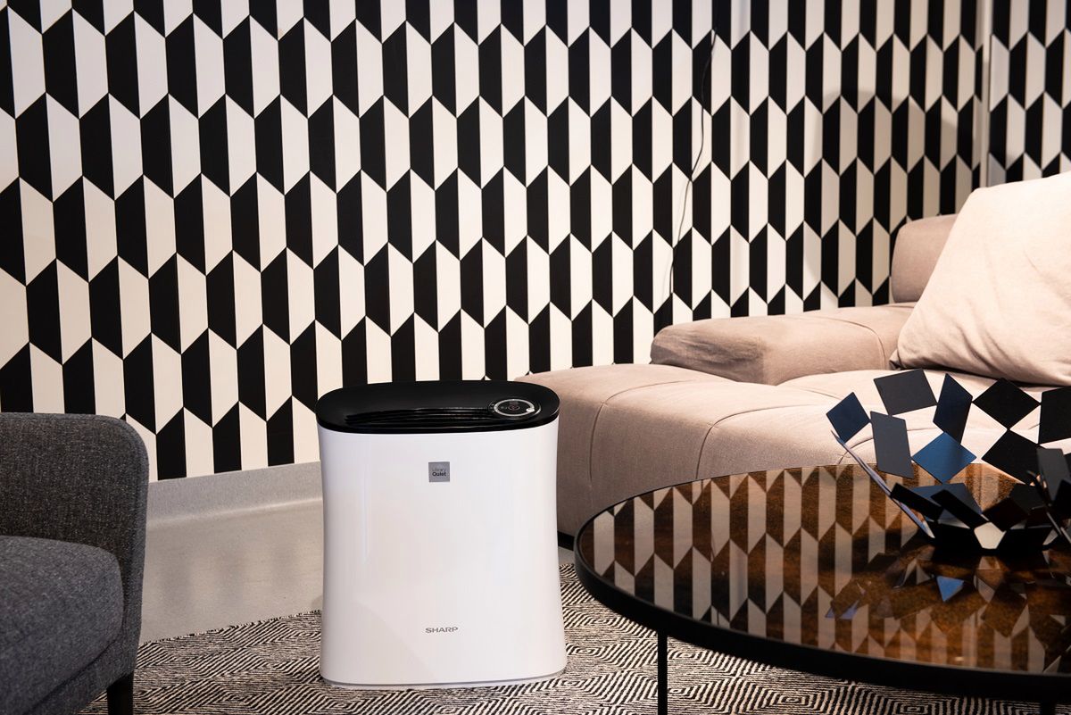 Oczyszczacz powietrza, czyli powiedz smogowi stop!