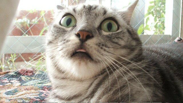 Internet w Polsce: dlaczego jest taki słaby? 1