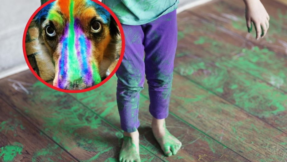 Pokazała, co jej dzieci zrobiły z psem