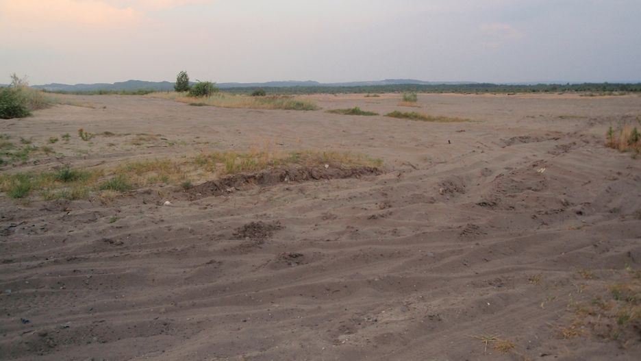 Krajobraz Pustyni Błędowskiej