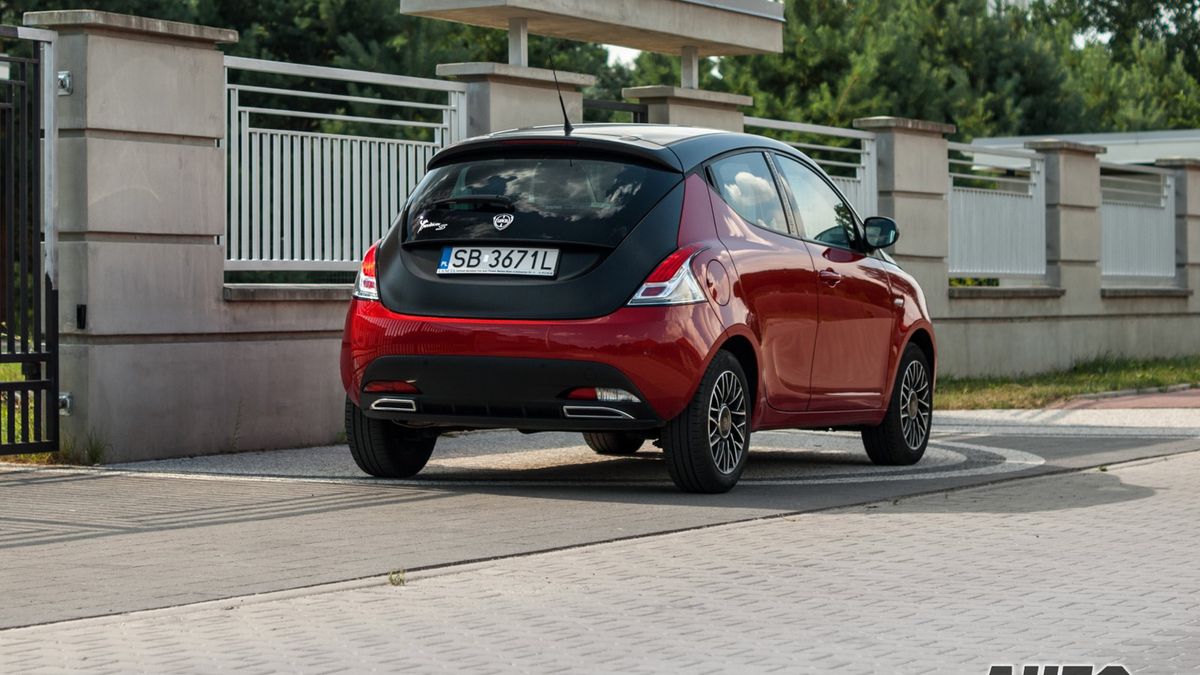 Zdjęcie ilustracyjne do artykułu