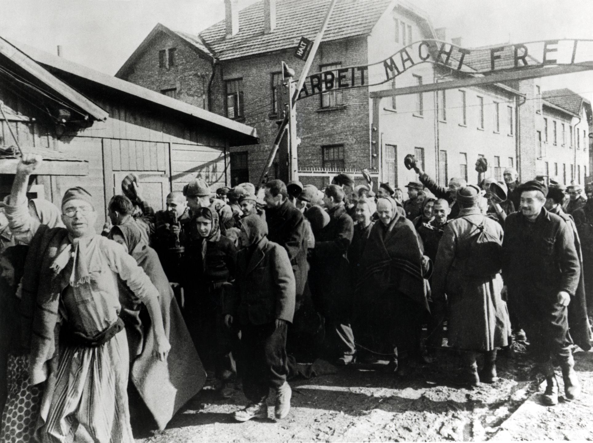 Wilhelm Brasse, polski fotograf Auschwitz, który zafascynował Hollywood 3