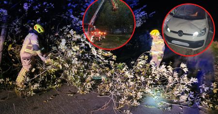 Pogodowy armagedon. Jednej nocy wichura wyrządziła ogromne szkody