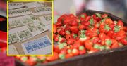 Fałszywe banknoty i domowa drukarka. 24-latek wpadł przez truskawki