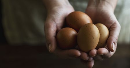 Ile kalorii ma jajko? Poznaj wartości odżywcze jajka