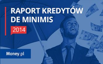 Kredyty dla firm z gwarancją de minimis. Zobacz raport