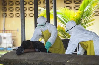 Wirus Ebola. WHO wzywa do kontroli pasażerów w krajach dotkniętych epidemią