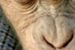 ''Dawn of the Planet of the Apes'': Scenarzysta "Szklanej pułapki" na planecie małp