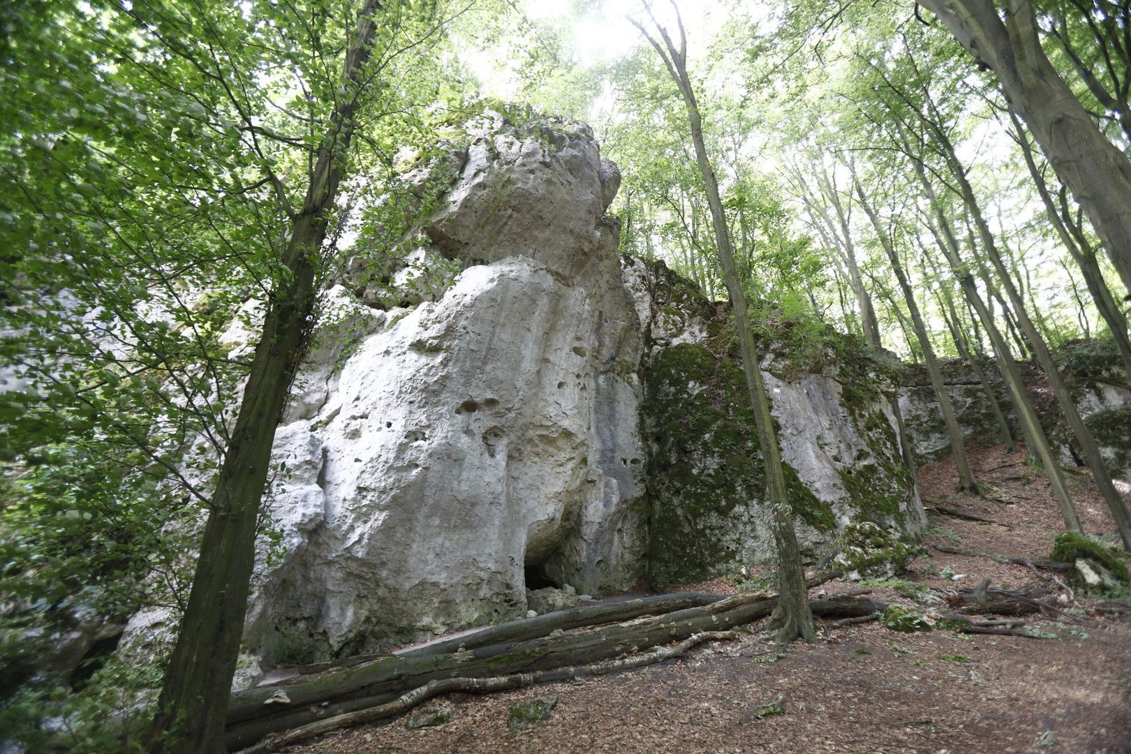 Rezerwat Ostrężnik