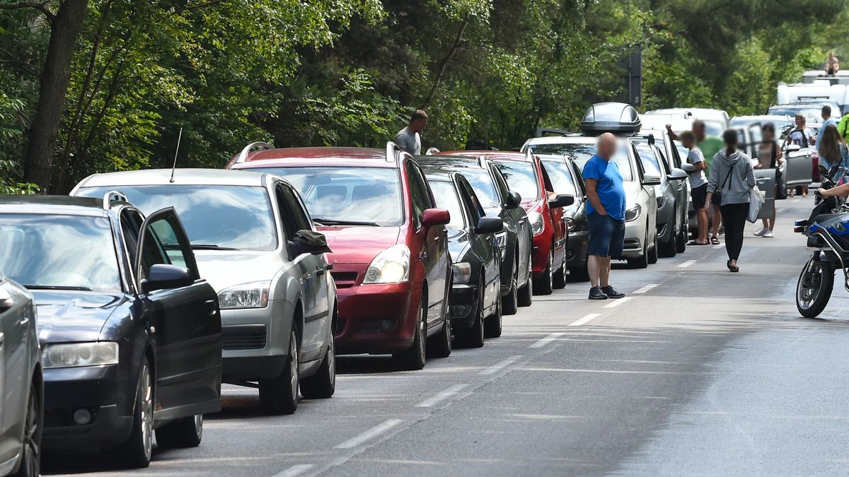 Korek na Półwyspie Helskim - zdjęcie ilustracyjne