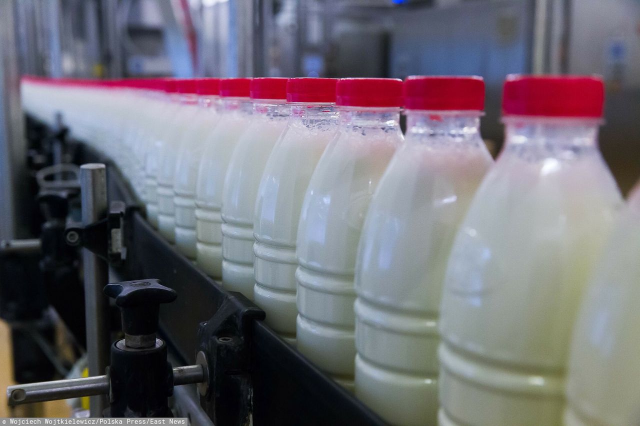 Russia launches probe into soaring butter prices amidst crisis