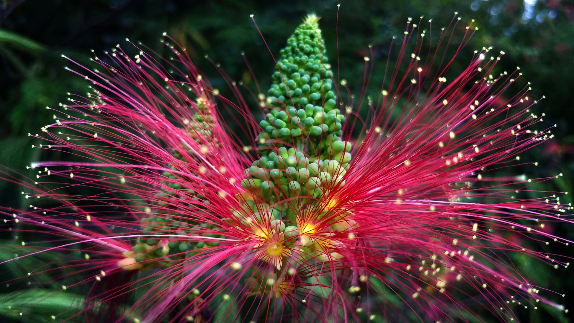 Jacek Bonecki fotografuje LG G4. Efekty są niesamowite! 7