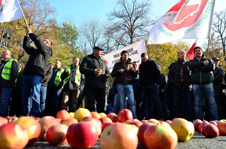 Demonstracja sadowników w listopadzie 2014 r.