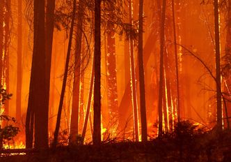 Stany Zjednoczone. Pożary na obrzeżach parku narodowego Yosemite wciąż szaleją
