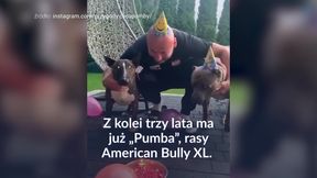 #dziejesiewsporcie: Szpilka śpiewał psom "sto lat"