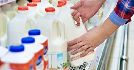 Wiele osób omija takie mleko w sklepie. Duży błąd, bo to najzdrowszy rodzaj