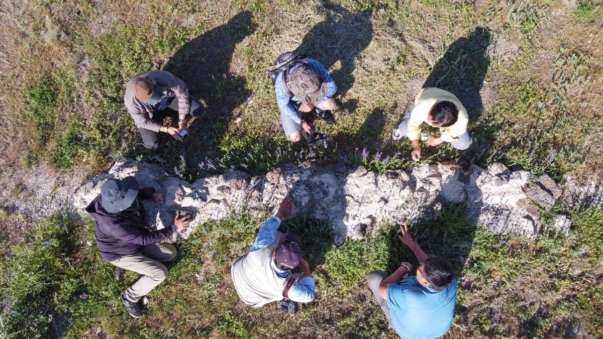 To mogą być pozostałości słynnej rezydencji wnuka Czyngis-Chana. Tureccy archeolodzy badają niezwykłe znalezisko