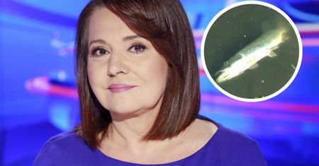 Ujawnił manipulację "Wiadomości". Pokazali to samo 24 razy