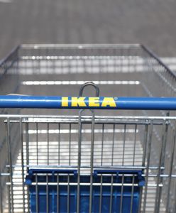 Jutro otwarcie nowego salonu IKEA w Blue City