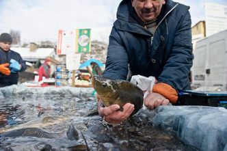 Indeks Karpia Money.pl. To będą rekordowo tanie święta! Nie tylko karp kosztuje mniej...