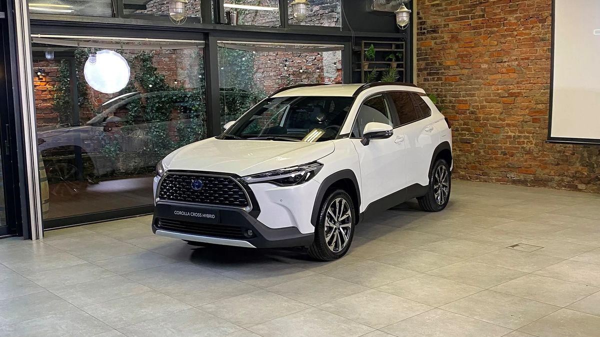 Importer przewiduje, że to będzie nowy hit