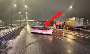 Leżał na A4. Natychmiast się zatrzymali