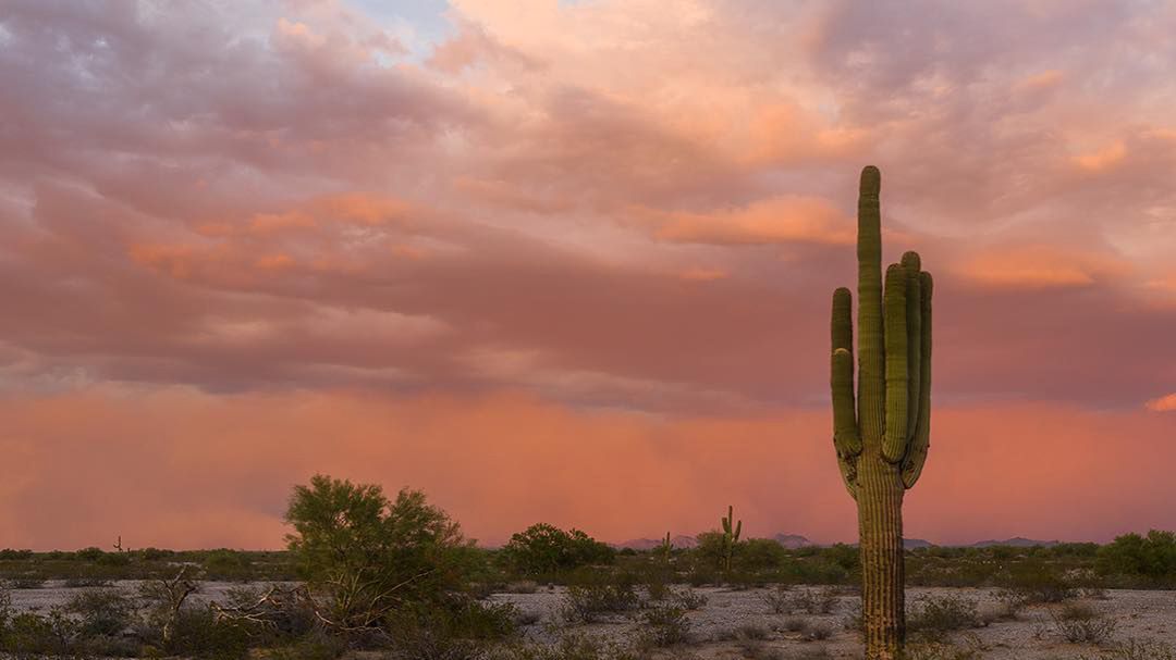 Wierzy w uzdrawiającą moc natury i tworzy genialne timelapsy 1